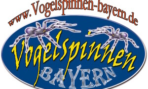 ✅ [Niemcy – München] Vogelspinnen Stammtisch – 16 Maja 2026