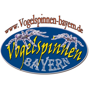 ✅ [Niemcy - München] Vogelspinnenstammtisch - 13 Czerwca 2026