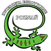 ✅ [Poznań] Świat Egzotyki
