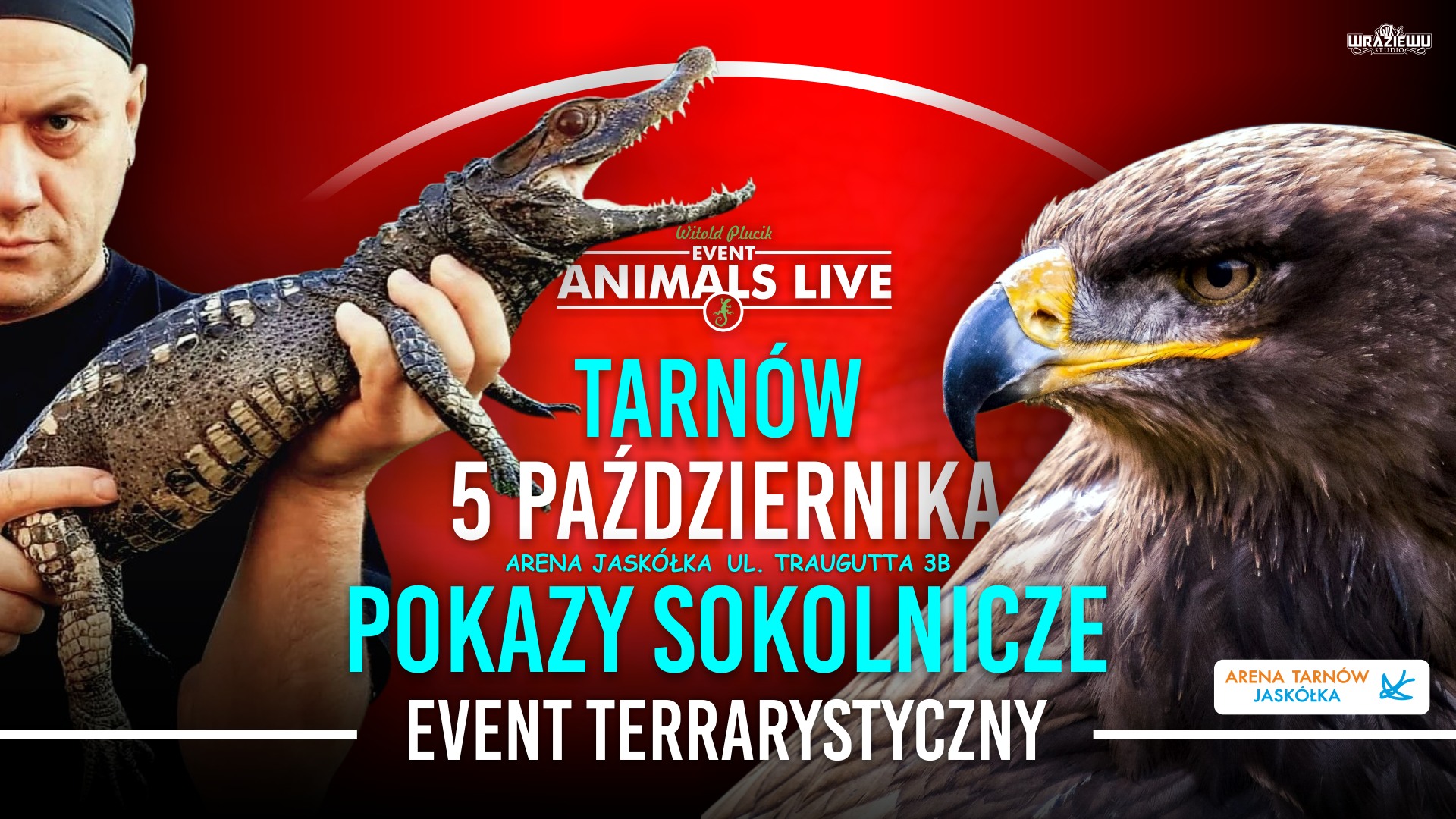Plakat – 2025-10-05 – Animals Live (Tarnów)