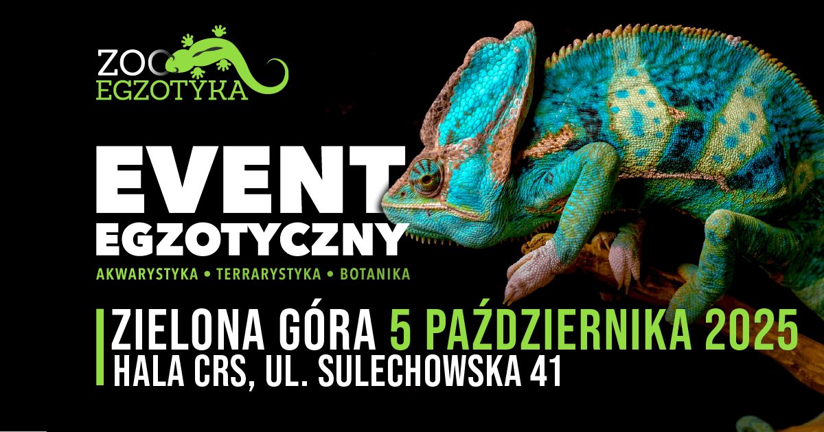 Plakat – 2025-10-05 – ZooEgzotyka (Zielona Góra)
