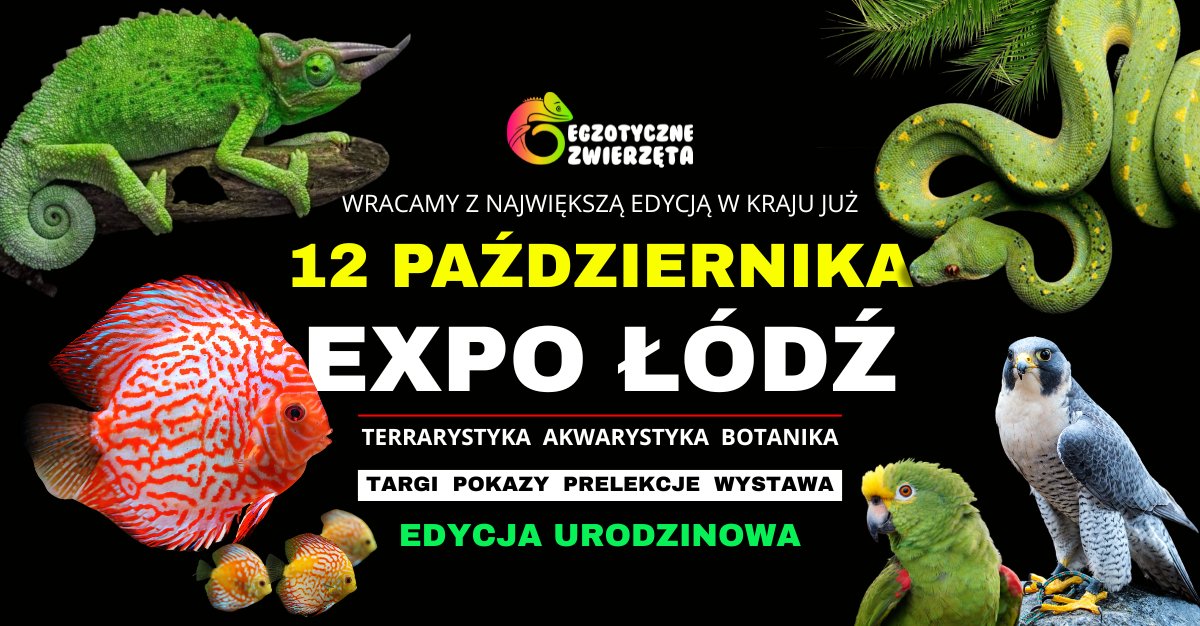 Plakat – 2025-10-12 – Egzotyczne Zwierzęta (Łódź)