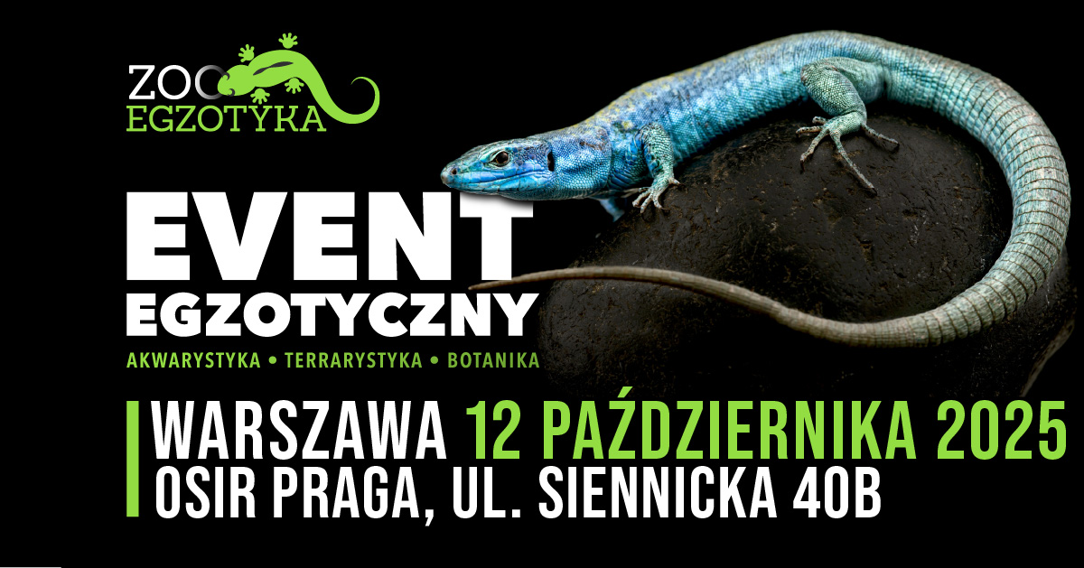Plakat – 2025-10-12 – ZooEgzotyka (Warszawa)