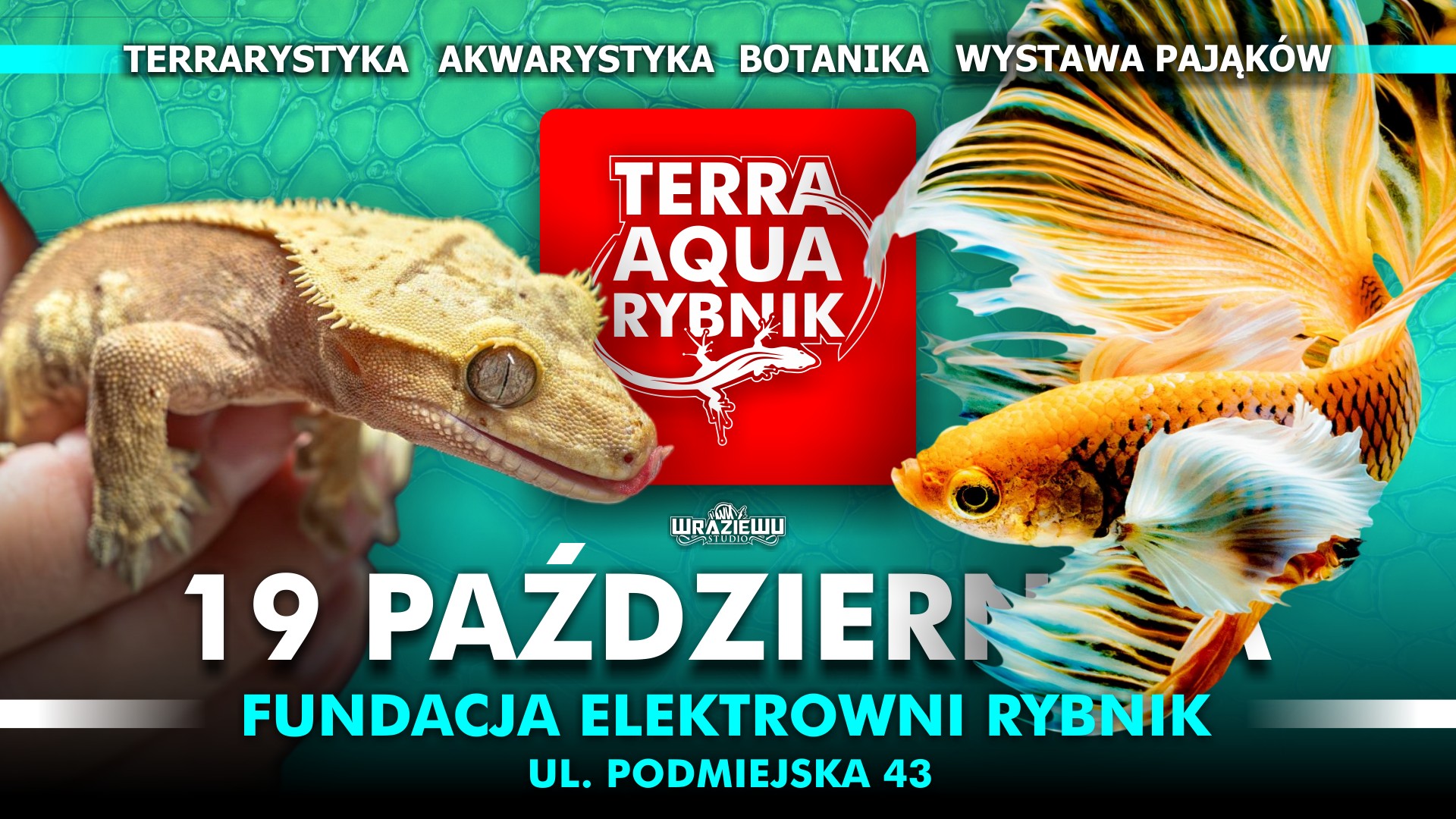 Plakat – 2025-10-19 – Terra Aqua (Rybnik)