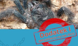 Aktualizacja polskich nazw ptaszników na 2025 rok