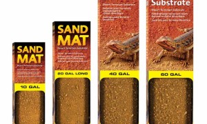 Sand Mat – naturalne podłoże do terrarium pustynnego