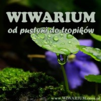 [Warszawa] Wiwarium - Warszawskie Targi Terrarystyczne - TERMIN ODWOŁANY