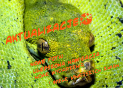 Nowe zdjęcia, ulepszona nawigacja, nowe wydarzenia…