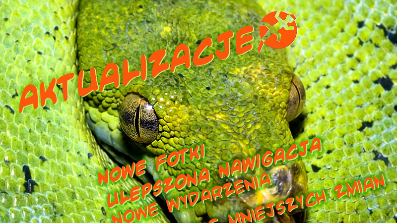 Nowe zdjęcia, ulepszona nawigacja, nowe wydarzenia…