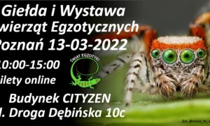 [Poznań] Giełda i Wystawa Zwierząt Egzotycznych