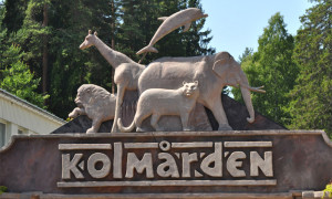 Kolmården Zoo – Szwecja