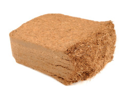 Podłoża stosowane u gatunków węży właściwych